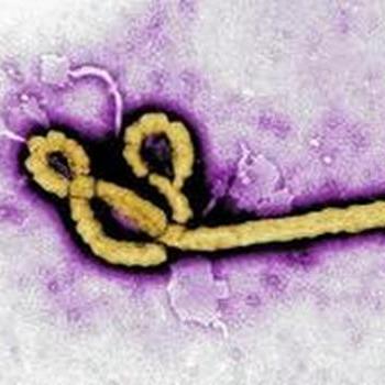 Ebola- What is Florida doing to prepare?
